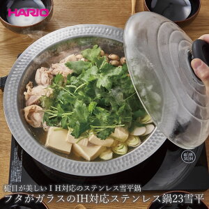 y100~N[|Lzt^KXIHΉXeX23ᕽ MIS-23 ϔMKX ᕽ XeX IHΉ H { HARIO nI ͂肨  痿 KXW KXӂ