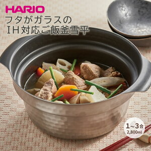 HARIO t^KXIHΉъᕽiGIS-200j  nI IHΉ ъ X[vW[  ύ tbfR[g 1-3 e2 hV̓