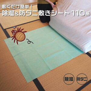 y100~N[|Lz~ȒPIh_j~V[g110 J[ybg  zc NbV xr[J[ [{bNX ۑ xbh ȒP J̓