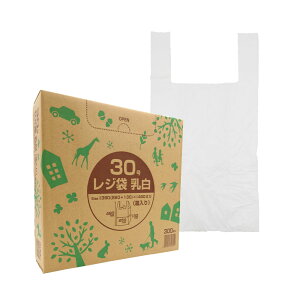 y100~N[|LzW ij20 400 / 30 300 ݑ W  P[X 񂰑  rj[