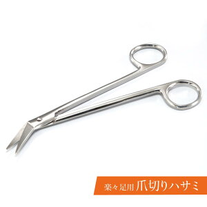 y100~N[|LzyXpܐ؂nT~ S88016 ܐ؂ p nT~ ߂ yX  Dw ̒  XeX   H _炩Ȓ ؂₷ v[g 