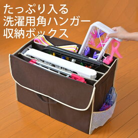 楽天市場 ピンチ ハンガー 収納の通販