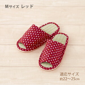 y100~N[|LzXbp a 1 hbg Xbp Vv ėp    CXbp Ȃ M L TCY Y fB[X  OJ COT  SU 