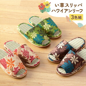 y100~N[|Lzyz Xbp nCA[t 3Fg COT C  VRf    [V[Y ėp 炳 q 킢 nC nCA A