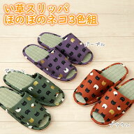 【100円クーポン有】【送料無料】 い草スリッパほのぼのネコ3色組 イグサ イ草 いぐさ 天然素材 畳 たた…