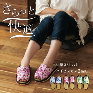 y100~N[|LzyzXbp nCrXJX 3Fg COT C  VRf    [V[Y ėp 炳 q 킢 nC nCA An 