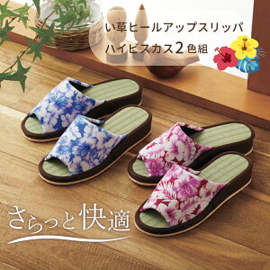 y100~N[|Lzyzq[AbvXbp nCrXJX 2Fg COT C  VRf    [V[Y ėp 炳 q 킢 nC n