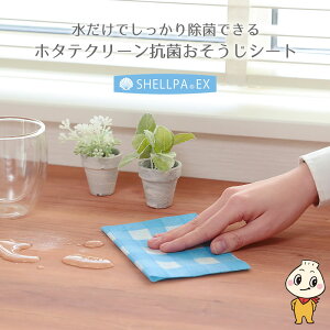 z^eN[RۂV[g  | @ G   R VRf JԂgp\ GR ĝ R VN  ʏ | _X^[ tL AEghA W