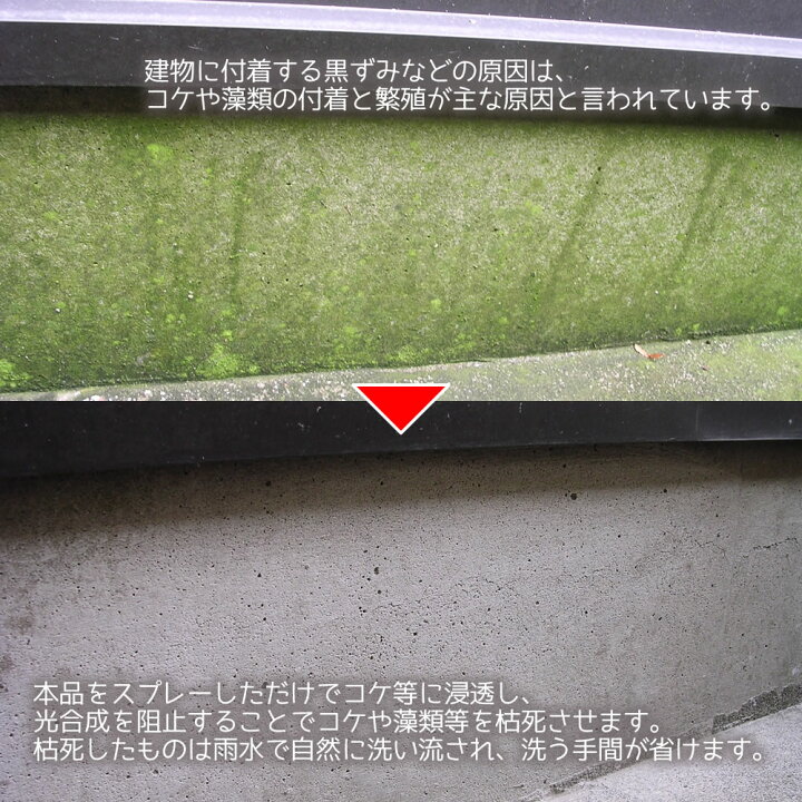 国際ブランド 外装レスキュー 500ml 防カビ洗剤 洗剤 カビ取り剤 クリーナー コケ取り コケ対策 カビ防止 カビ対策 カビ取り タイル 外壁 ブロック塀 Shipsctc Org