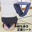 持ち歩き正座補助シート ◆ 持ち運び 軽い 辛い 正座 目立ちにくい 喪服 和服 畳 携帯 折りたたみ式 正座シート 日本…