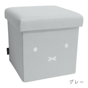 miffy [łXc[ ~btB[  [{bNX O[  zCg DickBruna P[X {bNX [Xc[ G 킢 CeA \t@ ֎q | l| [ x` `