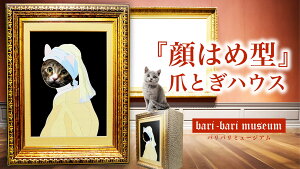 【100円クーポン有】nya-rt バリバリミュージアム -フェルメール絵画風- 爪とぎハウス ◆ ねこの爪とぎ キャットハウス ペットハウス ダンボール 段ボール 爪とぎ 爪研ぎ つめとぎ 猫 ネコ 猫