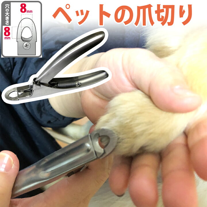 ペット用　爪切り　ブルー　ハサミ型　つめ切り　グルーミング　猫　犬　小型動物