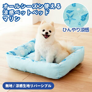 I[V[Ygybgxbh }  L  Ck ˂ lR  nEX \t@[ n Ђ  K ΍ ⊴ Ђ}bg ėp N[}bg M