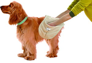 超吸収ペット用拭き上げガシガシタオル ペット用 ペット タオル 超吸収 吸水 マイクロファイバー クイックドライ 乾燥 お家シャンプー 体拭き お風呂 時短 楽々