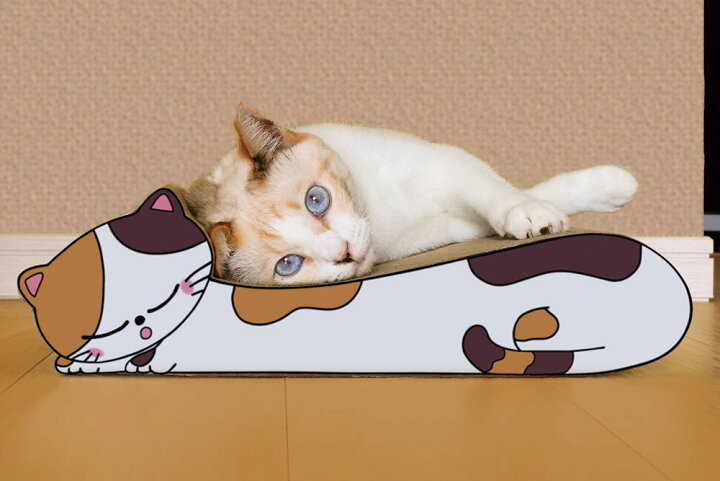 楽天市場 100円クーポン有 ねこの爪とぎ 居眠りにゃんこ 猫 ネコ ねこ にゃんこ 猫用品 ペット ぺっと グッズ 小物 つめとぎ 爪とぎ 爪研ぎ ダンボール 段ボール お洒落 おしゃれ オシャレ 可愛い かわいい カワイイ 猫の日 まるモール 楽天市場店 楽天市場 100円クーポン有 ねこの爪とぎ 居眠りにゃんこ 猫 ネコ ねこ にゃんこ 猫用品 ペット ぺっと グッズ 小物 つめとぎ 爪とぎ 爪研ぎ ダンボール 段ボール お洒落 おしゃれ オシャレ 可愛い かわいい カワイイ 猫の日 まるモール 楽天市場店