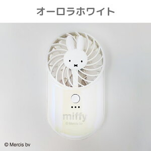 y100~N[|Lzmiffy nfBt@ |Pb^u^Cv ~btB[ ݂ӂ[ |[^u@ MǑ΍ ΍ ItBX   fXN  킢  [d USB 