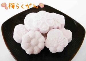 y炭zy~z~炭 ʉَq ̂Ȃ ~   炭 ~aَq aَq