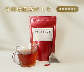 今日は紅茶にして 紅茶 和紅茶 静岡茶 ティーバッグ