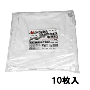 GR[vTCNڂEGX@R-500 101TCYF30cm×30cmyGЁEz