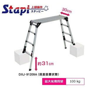 yzLzsJR[|[VDXJ-91209A@X^bs[i㕔^CvjA~lrAWXg㕔^Cv