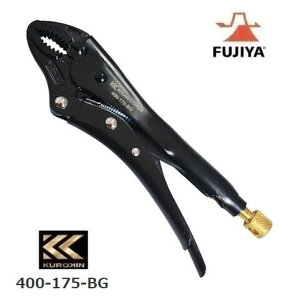 tWbLOvC[ĂёSF175mm400-175-BGyKUROKINEEFUJIYAENLztW@oCXvC