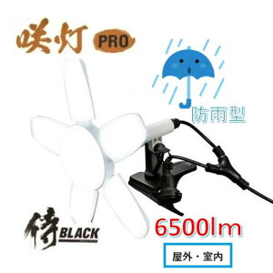 ubN@瓔PRO@hJ^@LEDNbvCg}Olbgt6500[@60W@OCLT60MGSAKUTOUyVzyzEARTH@MAN@A[X}@BLACK@OCLT-60MG@[tCg