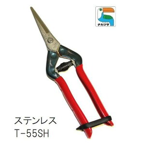 ߐXeXEE@T-55SHy|p͂݁z`J}T