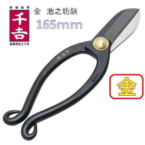 YƁ@g@rVV@165mmyzy|p͂݁zt[AWg