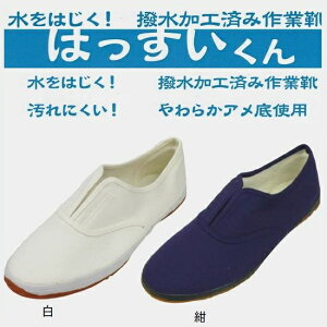 CGe͂@N800 /Z^[SA@yтEтzyNEƌCERсz