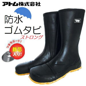 AghS^rXgOiwtjܐK[hScBP2531t@Xi[tySCESV[YEƌCEn܁z