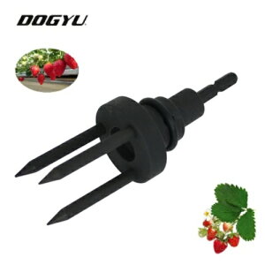 y\Pbg KNS-03i03862j rbgCpNghCo[ACpNg`ΉñC`ScPpy䕁Ez