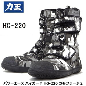 ͉SƌC p[G[X nCK[h HG-220CAMEWHGYJt[W@ʃzCgO[C}WbN^CvypSƌCzyZteB[Xj[J[ESCESV[Yz