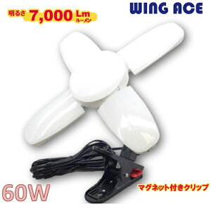 EBOG[XX[p[~lX60CLypz7000[@60W@SLX-60CLLEDdt@}OlbgtNbvv@At@5mR[h/E-26WING ACE@X[p[~lGbNX