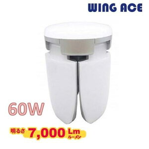 yE֋zEBOG[X@X[p[~lX60CLp SLX-60LED@60WF7000[@X[p[~lXpJƎˁ@WING ACE@X[p[~lGbNX