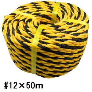 W[v@g[v@12×50mi9mmjH ݌ H Sz y  Cxg ۈpi d؂ ԏ K[W