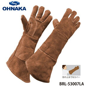 咆YƁ@nڗp܁@5{w@OBRL-53007LA@uE S53cm@t[TCYv@ȕt@nڒ܁@v