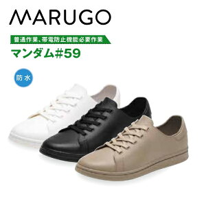 ی܁@}S}_59ʍƁ@ѓdh~@\KvƃzCg/ubN/x[WJ̓ʋ΁@i@C