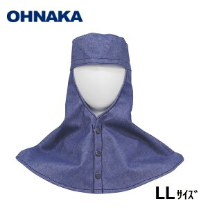 y_̂݃[։\z咆YƓVۃOco CfBSu[@LLTCY(LF65cmE48cm) GDH-2151yAJhKiNFPA2112Kzhi@n Sی@h@fj