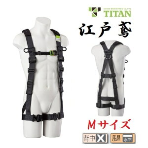 TR[^C^@TITAN]˓΃tn[lXETN-10A-MTCY@ubNyė~p̋KiKz