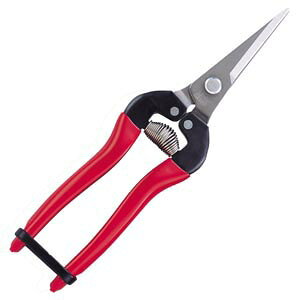 y2{܂ŃlR|XΉ\zAXR[|[V@EO^Cv@XeX300L-DX-BP@S190mmy|p͂݁z