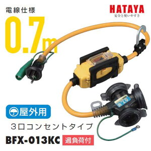 n^~ebhOp@BFXR[h3RZg^Cv 0.7m@BFX-013KCyRdՒfEA[Xtz2PE15AE125V@tL[grvOڒnty⏕R[hHATAYAEu[J[tz