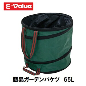 yzLzYƁ@E|ValueȈՃK[foPc@65LEKGB-65