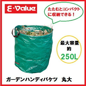 YƁ@E-ValueK[fnfBoPc@ۑEGB-13@C[o[