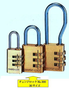 SOL HARD EhƃObYNo.300 `FWbN 30TCY