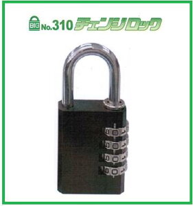 SOL HARD@EhƃObY No.310 BIG `FWbN 40TCY