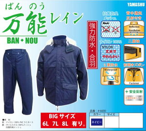 ���}�V���E���\RAIN���\���C���E�㉺�Z�b�g�@��6600�l�C�r�[�@8L�T�C�Y�y�J��E�J�b�p�E���H�E���C���X�[�c�E���C���R�[�g�z