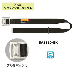 ^W}c[xgA~tBK[obNySTCYzBAS110-BKA~tBK[obNySсzySEGΉzwė~pE[N|WVjOppx