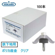 光　NEW HIKARI波板ビス【鉄下地用】5.0×25mm(100本入)ポリカ座金クリアー　SH-BNPS525C波座ビス　鉄板…