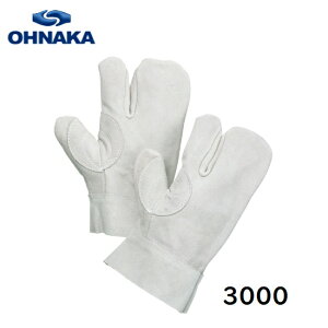 咆YƁ@nڗp܁@3{wZi10oj3000t[TCYv@v܁@